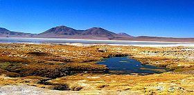 Waylla (Bolivia-Chile) httpsuploadwikimediaorgwikipediacommonsthu