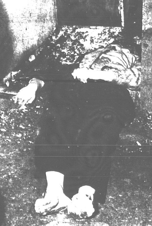 A crime scene with Shirley Audette's dead body.