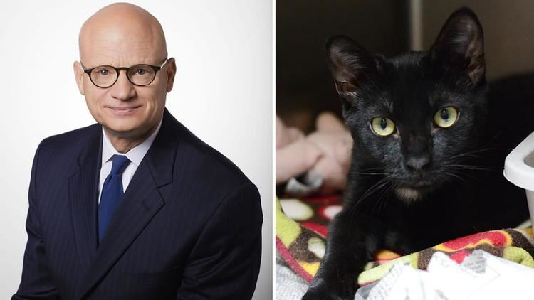 Wayne Freedman Marin Humane Society names cat after ABC7 reporter Wayne Freedman