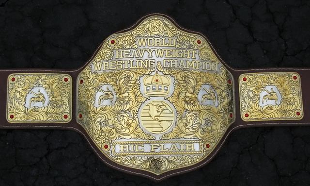 WCW World Heavyweight Championship wcw world heavyweight championship Tumblr