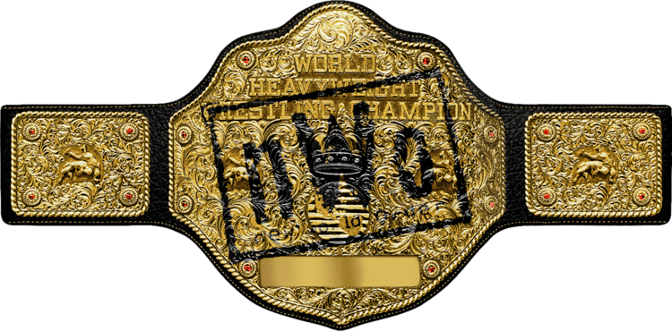 WCW World Heavyweight Championship WCW World Heavyweight Championship Belt nWo by DarkVoidPictures