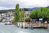 Wädenswil httpsuploadwikimediaorgwikipediacommonsthu