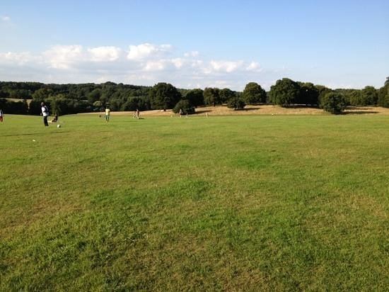Weald Country Park Weald Country Park Brentwood England Top Tips Before You Go