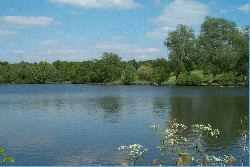 Weald Country Park Leisure Arts and Community Parks Open Spaces and Country