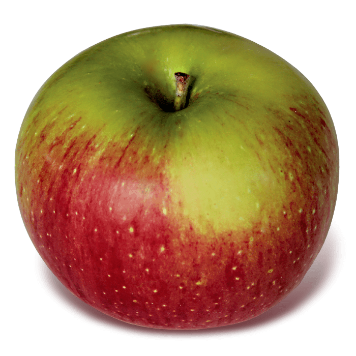 Wealthy (apple) Wealthy hermits and the 2016 New England apple crop New England