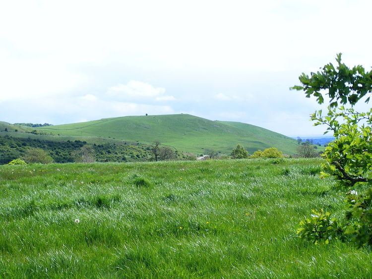 Weaver Hills Weaver Hills Wikipedia