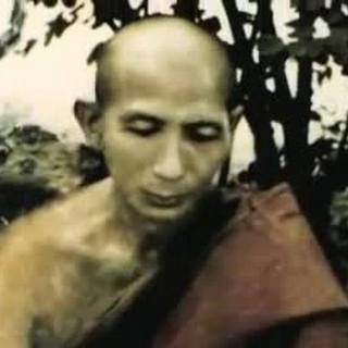 Webu Sayadaw Webu Sayadaw Anthology of a Noble One Dharma Documentaries