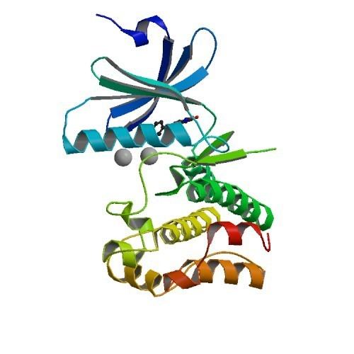 Wee1-like protein kinase