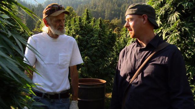 Weed Country Quest for Medical Marijuana Weed Country Discovery