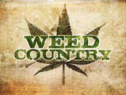 Weed Country Weed Country Wikipedia