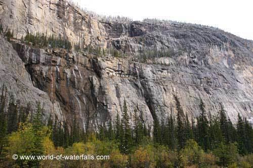 Weeping Wall (Alberta) wwwworldofwaterfallscomimagesIcefieldsParkw