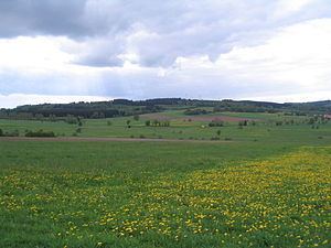 Weißer Stein (Vogelsberg) httpsuploadwikimediaorgwikipediacommonsthu
