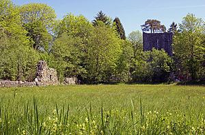 Weissenau Castle httpsuploadwikimediaorgwikipediacommonsthu