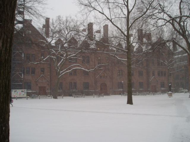 Welch Hall (Yale University) httpsuploadwikimediaorgwikipediaenee6Wel