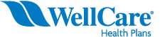 WellCare httpsjobswellcarecomContentWellcareclient