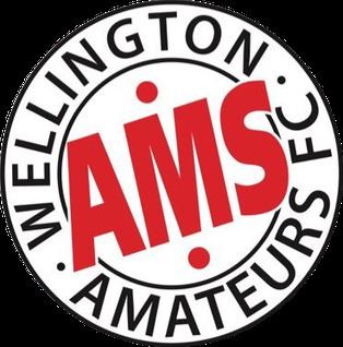 Wellington Amateurs F.C. httpsuploadwikimediaorgwikipediaen33eWel