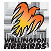 Wellington cricket team httpsuploadwikimediaorgwikipediaen113Wel