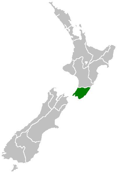 Wellington local elections, 1992