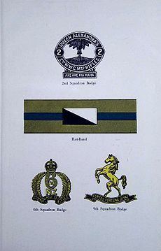 Wellington Mounted Rifles Regiment httpsuploadwikimediaorgwikipediacommonsthu