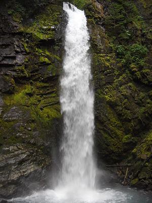 Wells Creek Falls httpsuploadwikimediaorgwikipediacommonsthu