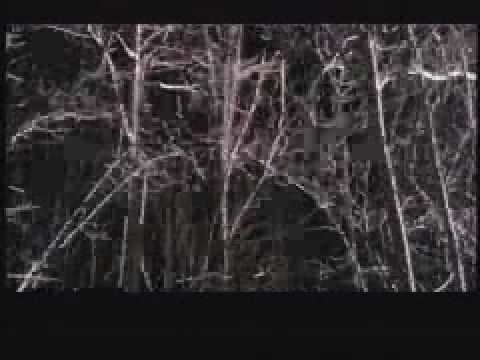 Wendigo Trailer 2001 YouTube