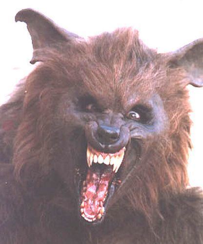 Werewolf (TV series) 17 Best images about Series Werewolf Night Werewolves and News