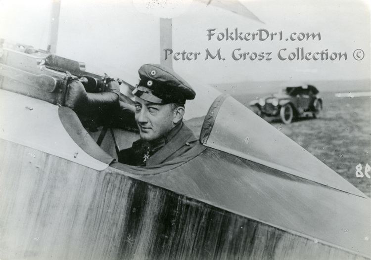 Werner Voss Fokker FI 10317 Photos and Data