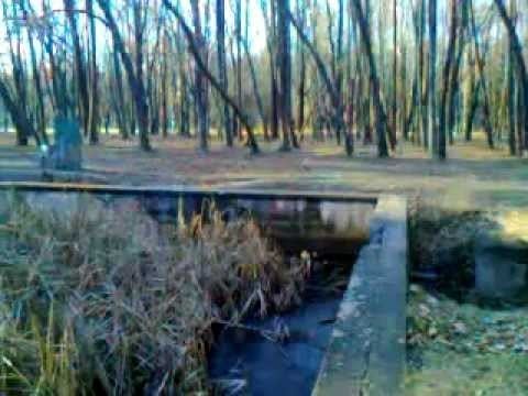 Werwolf (Wehrmacht HQ) 3 Adolf Hitlers Headquarters Werwolf Water Pool Ruins Vinnytsya