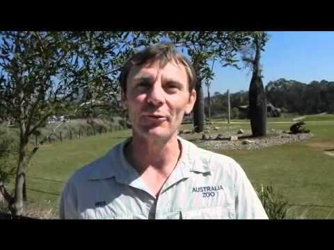 Wes Mannion Australia Zoo director Wes Mannion talks about new Africa