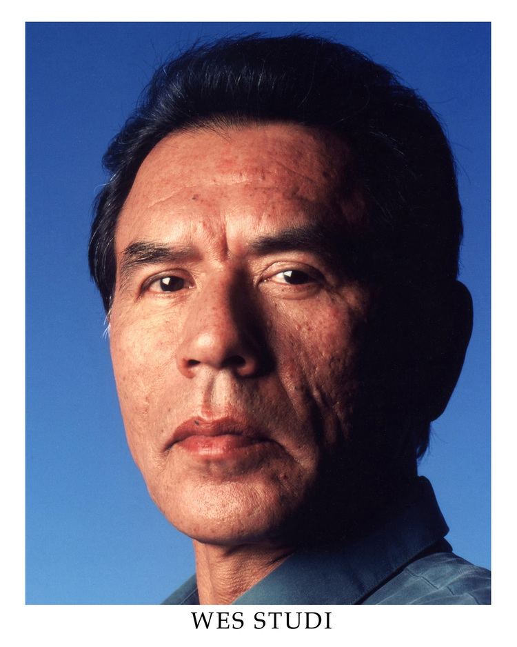 Wes Studi MOVIES Big and blue 39Avatar39 with Wes Studi comes to DVD
