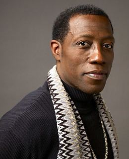 Wesley Snipes imgtimeincnettimephotoessays200910taxevade