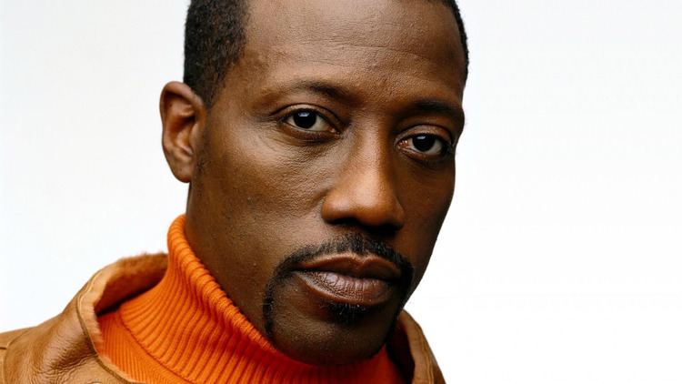 Wesley Snipes 12 Celebrities Who Made Millions and Went Broke Page 3
