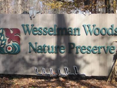 Wesselman Woods Nature Preserve Wild Birds Unlimited TriState Birding Hot Spots Evansville IN