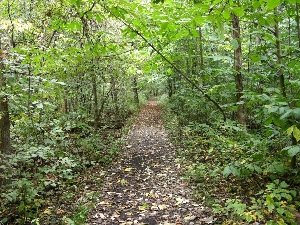 Wesselman Woods Nature Preserve EcoIndiana Wesselman Woods Nature Preserve