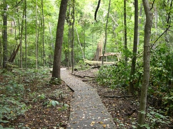 Wesselman Woods Nature Preserve EcoIndiana Wesselman Woods Nature Preserve