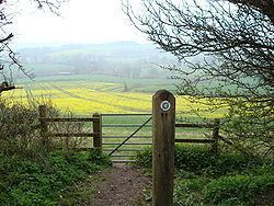 Wessex Ridgeway ramblefestcomImageswessexridgewaypicjpg