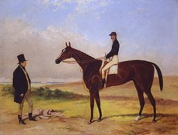 West Australian (horse) httpsuploadwikimediaorgwikipediaenthumb4