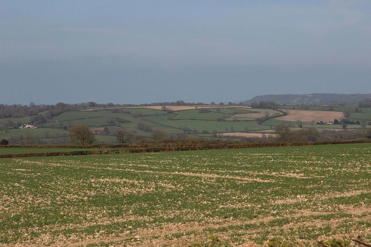 West Hill, Dorset