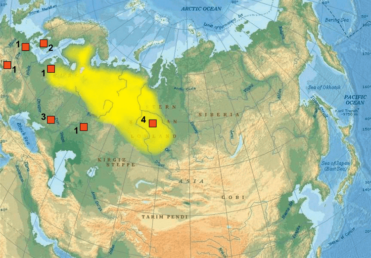 West Siberian Plain Dienekes39 Anthropology Blog Population strata in the West Siberian