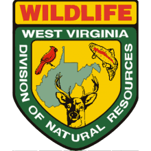 West Virginia Division of Natural Resources httpswwwwhitenosesyndromeorgsitesdefaultfi