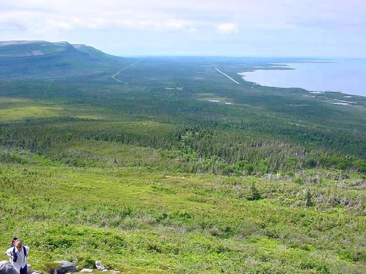 Western Coastal Plains Digital Flora of Newfoundland and Labrador Interesting Botanical