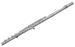 Western concert flute How to Buy a Flute on eBay eBay