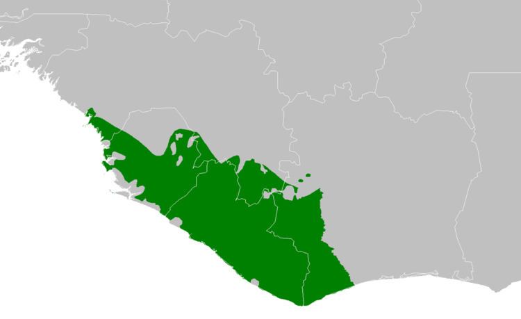 Western Guinean lowland forests