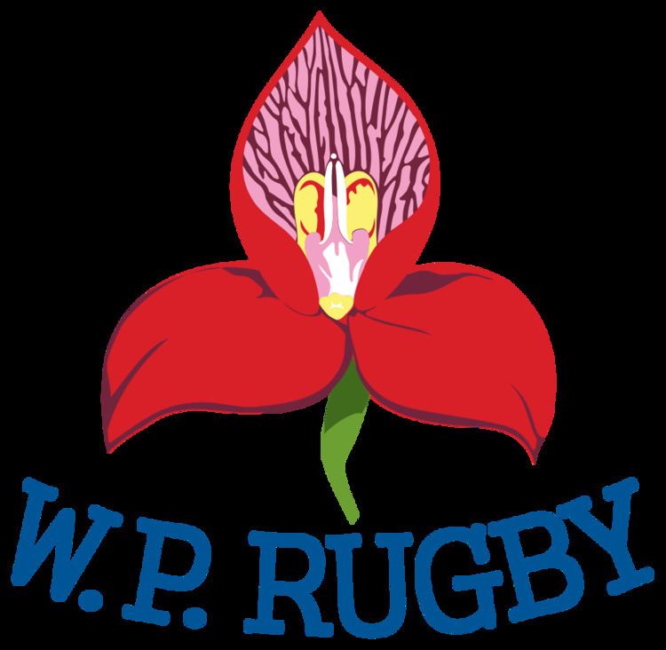 Western Province (rugby team) httpsuploadwikimediaorgwikipediaenthumb1