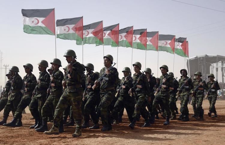 Western Sahara conflict Western Sahara What is the 40Year Dispute All About