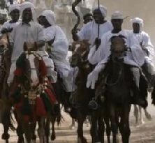 Western Sudan Pony horsehintsorgBreedsWesternSudanPonyjpg