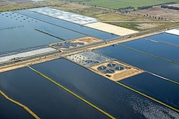 Western Treatment Plant Melbourne Water shortlists joint venture iN2ovate to study Nereda