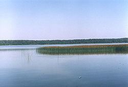 Wet Lake (Warmia-Masuria Voivodeship) httpsuploadwikimediaorgwikipediacommonsthu