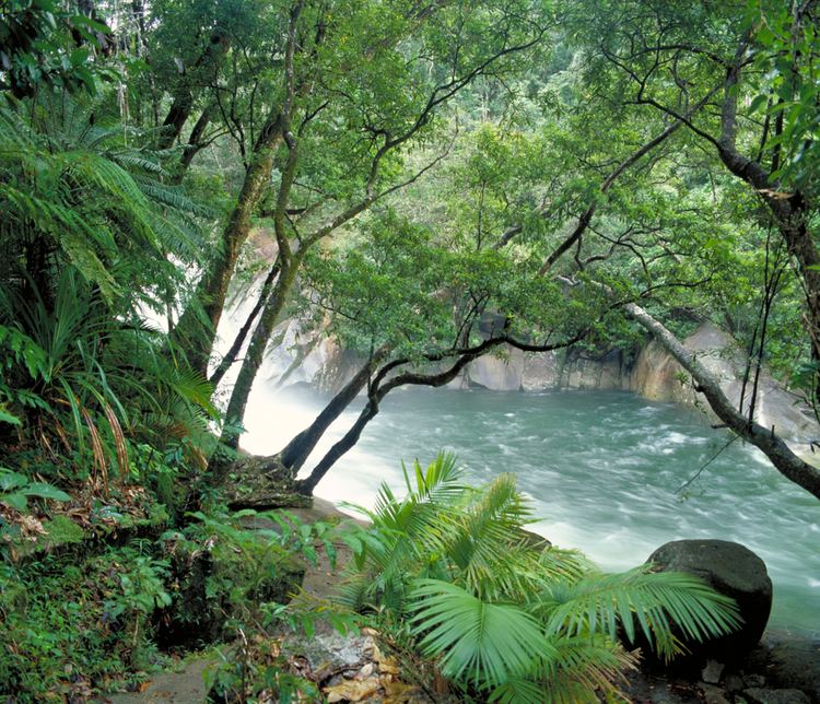 Wet Tropics of Queensland Wet Tropics of Queensland World Heritage