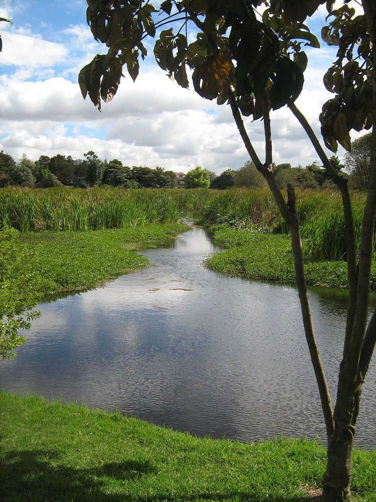 Wetlands of Bogotá